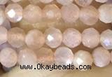 CTG1502 15.5 inches 3mm faceted round moonstone beads wholesale