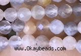 CTG1504 15.5 inches 3mm faceted round moonstone beads wholesale