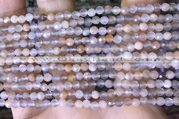 CTG1504 15.5 inches 3mm faceted round moonstone beads wholesale