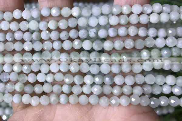 CTG1554 15.5 inches 4mm faceted round jade beads wholesale