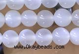 CTG1581 15.5 inches 4mm round white moonstone beads wholesale