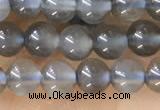 CTG1582 15.5 inches 4mm round grey moonstone beads wholesale