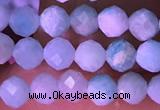 CTG1626 15.5 inches 3.5mm faceted round tiny amazonite beads