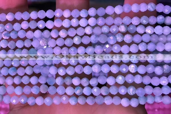 CTG1626 15.5 inches 3.5mm faceted round tiny amazonite beads