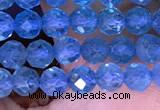 CTG1663 15.5 inches 3.5mm faceted round tiny apatite beads