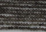 CTG200 15.5 inches 2mm faceted round tiny smoky quartz beads