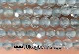 CTG2131 15 inches 2mm,3mm faceted round apatite gemstone beads