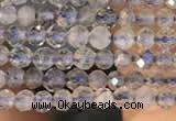 CTG2133 15 inches 2mm,3mm faceted round labradorite gemstone beads