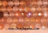 CTG2142 15 inches 2mm,3mm faceted round golden sunstone beads