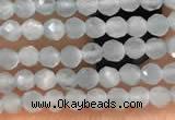 CTG2145 15 inches 2mm,3mm faceted round aquamarine gemstone beads