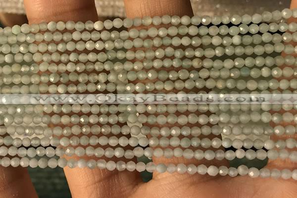 CTG2155 15 inches 2mm,3mm faceted round amazonite gemstone beads