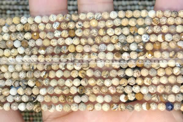 CTG2213 15 inches 2mm,3mm faceted round picture jasper beads