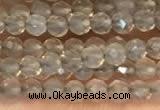 CTG2255 15 inches 2mm faceted round grey agate beads