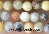 CTG2536 15.5 inches 4mm faceted round crazy lace agate beads