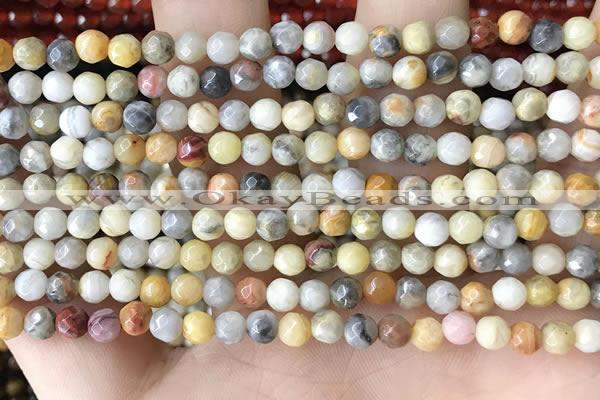 CTG2536 15.5 inches 4mm faceted round crazy lace agate beads