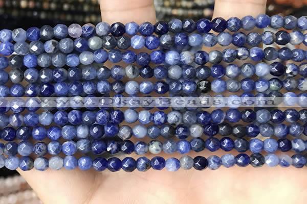 CTG3573 15.5 inches 4mm faceted round sodalite beads wholesale