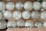 CTG3585 15.5 inches 4mm faceted round labradorite beads