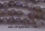 CTG509 15.5 inches 4mm faceted round tiny labradorite beads