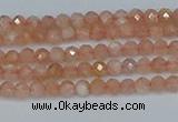 CTG607 15.5 inches 3mm faceted round peach moonstone beads