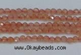 CTG609 15.5 inches 2mm faceted round golden sunstone beads