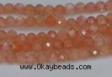 CTG610 15.5 inches 3mm faceted round golden sunstone beads