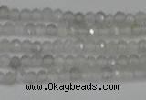 CTG612 15.5 inches 2mm faceted round labradorite beads