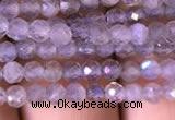 CTG702 15.5 inches 4mm faceted round tiny labradorite beads