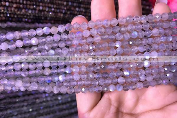 CTG703 15.5 inches 5mm faceted round tiny labradorite beads