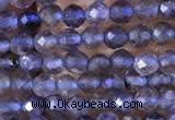 CTG753 15.5 inches 2mm faceted round tiny iolite gemstone beads