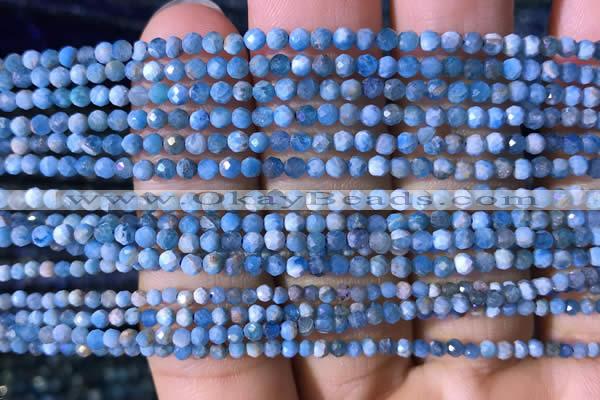 CTG759 15.5 inches 2mm faceted round tiny apatite gemstone beads