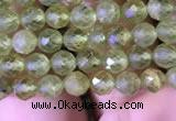 CTG813 15.5 inches 4mm faceted round tiny prehnite beads