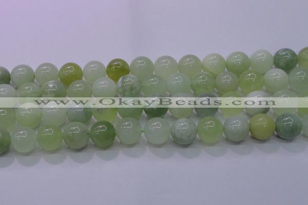 CXJ206 15.5 inches 16mm round New jade beads wholesale