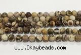 CZJ423 15.5 inches 10mm round Australian zebra jasper beads wholesale