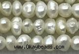 FWP07 14.5 inches 2mm - 3mm potato white freshwater pearl strands