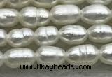 FWP153 14.5 inches 2mm - 3mm rice white freshwater pearl strands