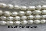 FWP205 15 inches 10mm - 11mm rice white freshwater pearl strands