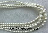 FWP212 15 inches 4mm - 9mm rice white freshwater pearl strands