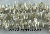 FWP420 15 inches 5*15mm - 8*24mm biwa freshwater pearl beads