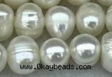 FWP55 15 inches 6mm - 7mm potato white freshwater pearl strands