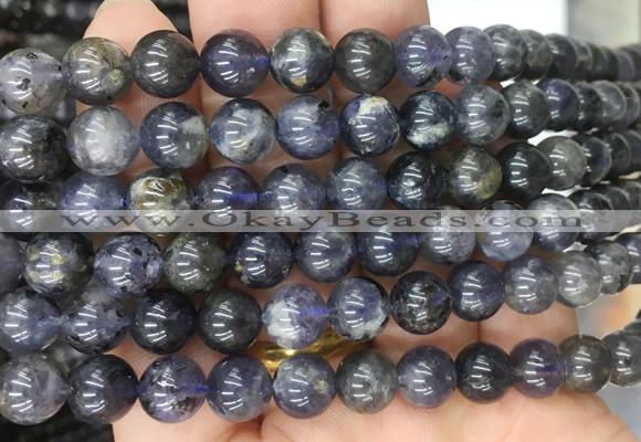 ILBS02 15 inches 8mm round iolite gemstone beads wholesale