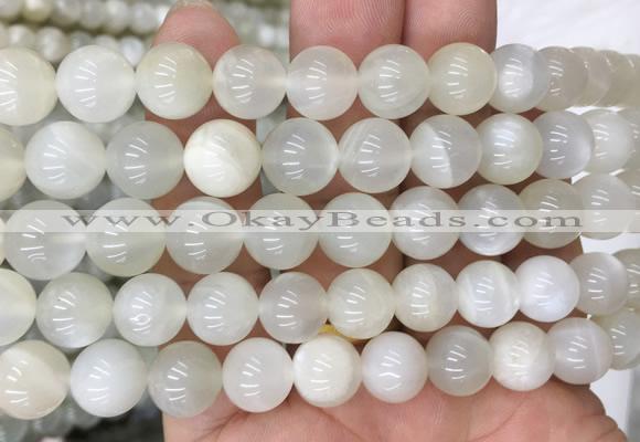 MSBS12 15 inches 10mm round moonstone gemstone beads wholesale