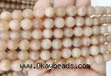 MSBS17 15 inches 8mm round moonstone gemstone beads wholesale