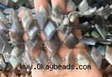 NGBS107 15 inches 13*22mm - 15*25mm faceted marquise moonstone beads