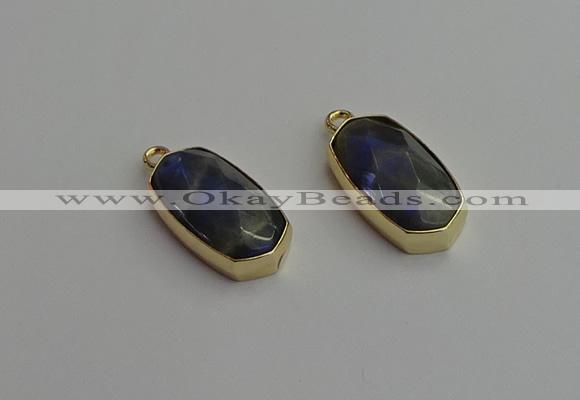 NGP7270 13*25mm faceted freeform labradorite pendants wholesale