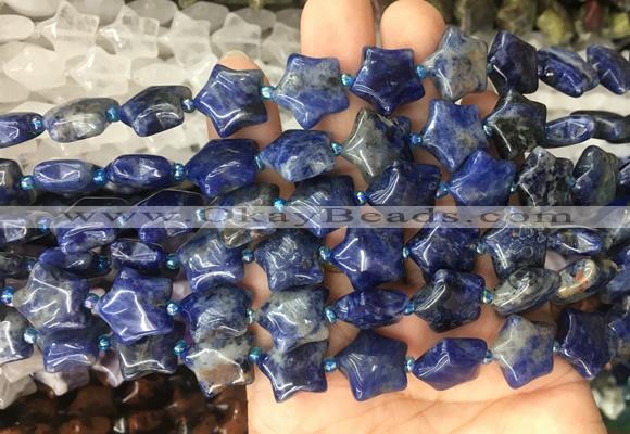 RGBS05 15 inches 16mm star sodalite gemstone beads wholesale