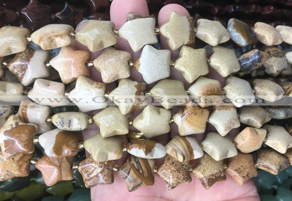 RGBS23 15 inches 16mm star picture jasper gemstone beads wholesale