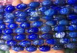 RIBS07 15 inches 8*13mm rice lapis lazuli gemstone beads wholesale