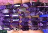 TBBS76 15 inches 8*12mm faceted tube dogtooth amethyst gemstone beads