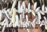 TDBS02 Top drilled 6*20mm - 8*55mm sticks sea urchin shell beads wholesale TDBS02 Top drilled 6*20mm - 8*55mm sticks sea urchin shell beads wholesale