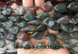 TRBS25 15 inches 13*18mm flat teardrop blood jasper gemstone beads